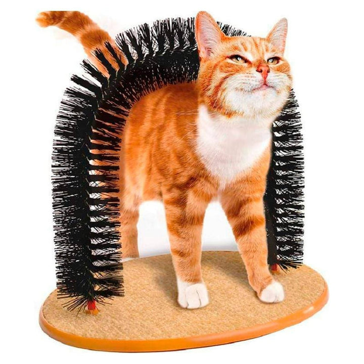 Arco Masajeador Rascador – Pelo Sano, Gato Feliz!